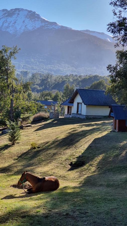 Cabanas & Aparts Lancuyen, Villa De Montana Villa La Angostura Eksteriør billede