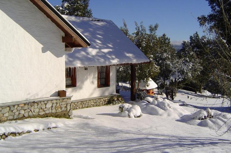 Cabanas & Aparts Lancuyen, Villa De Montana Villa La Angostura Værelse billede